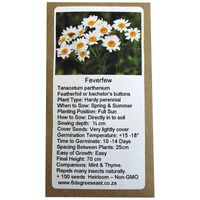 6 Degrees East Heirloom Herb Seeds - Feverfew - Tanacetum Parthenium
